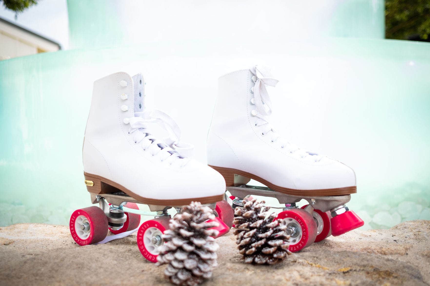 Jingle All The Way